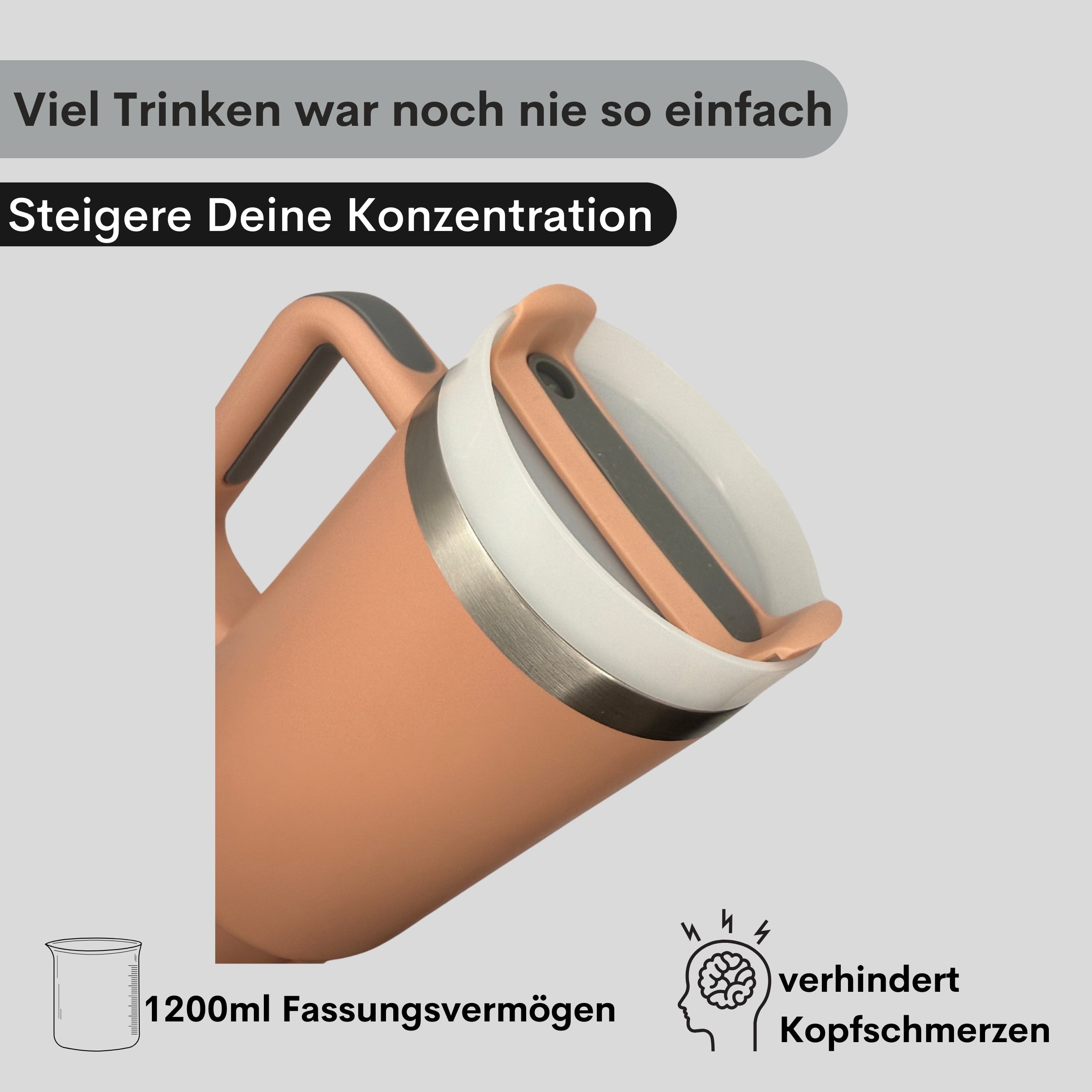 ThermoFlow - Aquasip